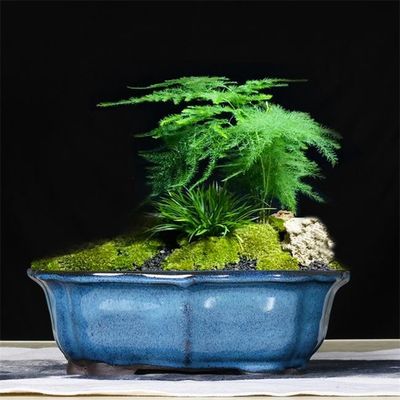 유약 분재 30x23x10cm 블루 세라믹 실내 식물 화분